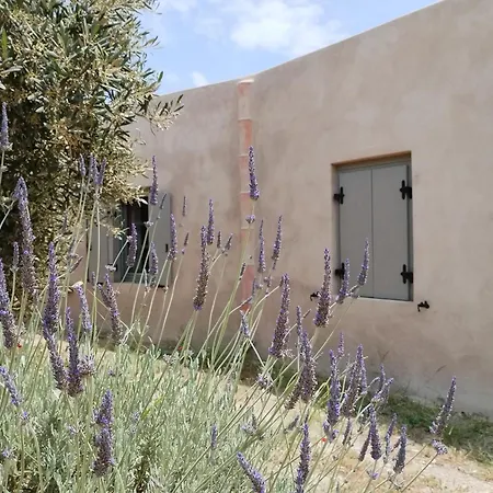Oxalis Villa